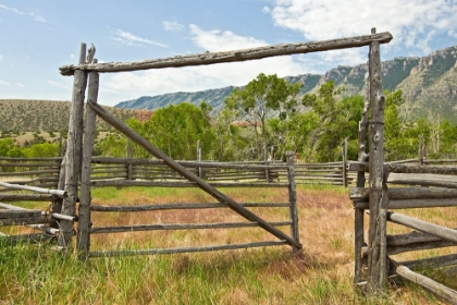 Picture of WEATHERED CORRAL