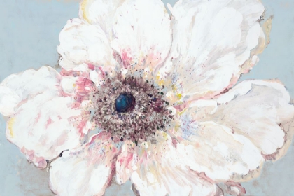 Picture of WHITE POPPY