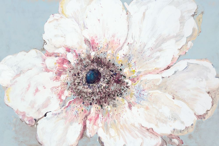 Picture of WHITE POPPY