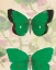 Picture of EMERALD WINGS I