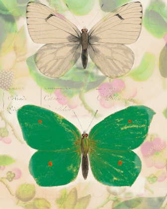 Picture of EMERALD WINGS II
