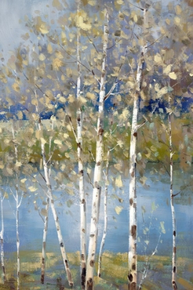 Picture of BIRCH GROVE