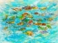Picture of TROPICAL COLORS