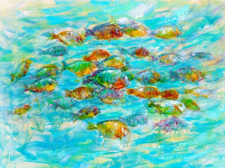 Picture of TROPICAL COLORS