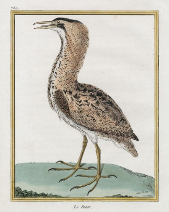 Picture of HERON II