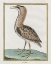 Picture of HERON II