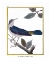 Picture of BLUE & GOLD BIRD I