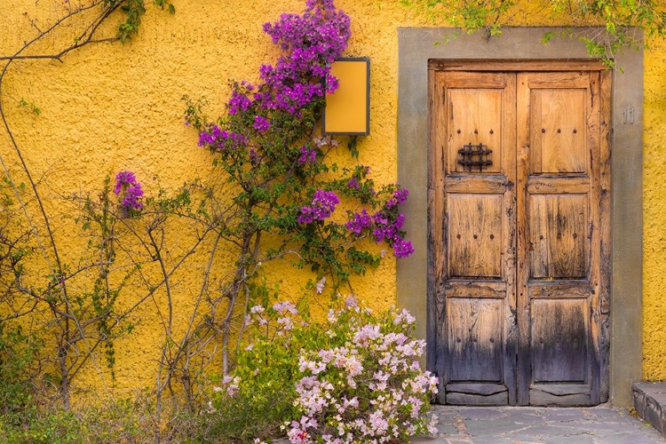 Picture of YELLOW WALL WITH FLOWERS