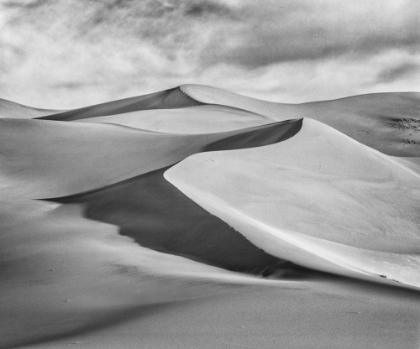 Picture of VAST DUNES
