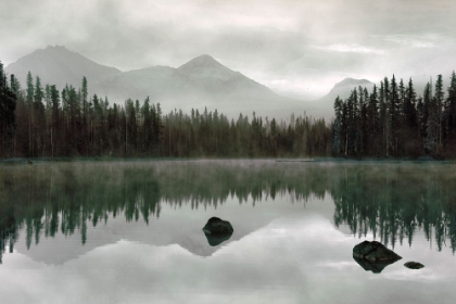 Picture of PERFECT STILLNESS