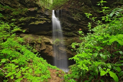 Picture of WOODLAND FALLS