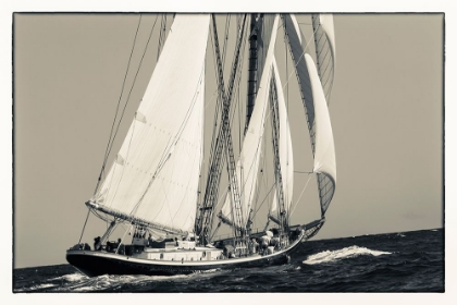 Picture of A SWIFT SAIL