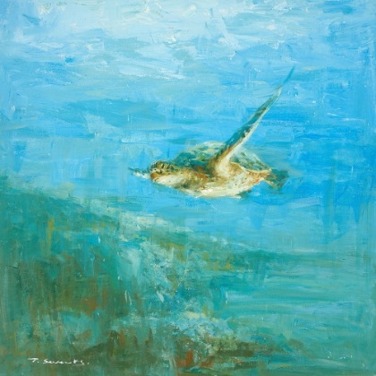 Picture of SEA TURTLE