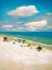 Picture of SUMMER BLISS
