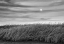 Picture of MOON RISE OVER THE PLAINS
