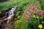 Picture of LUSH MEADOW