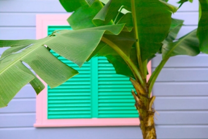 Picture of COLORFUL HOME III
