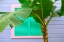 Picture of COLORFUL HOME III