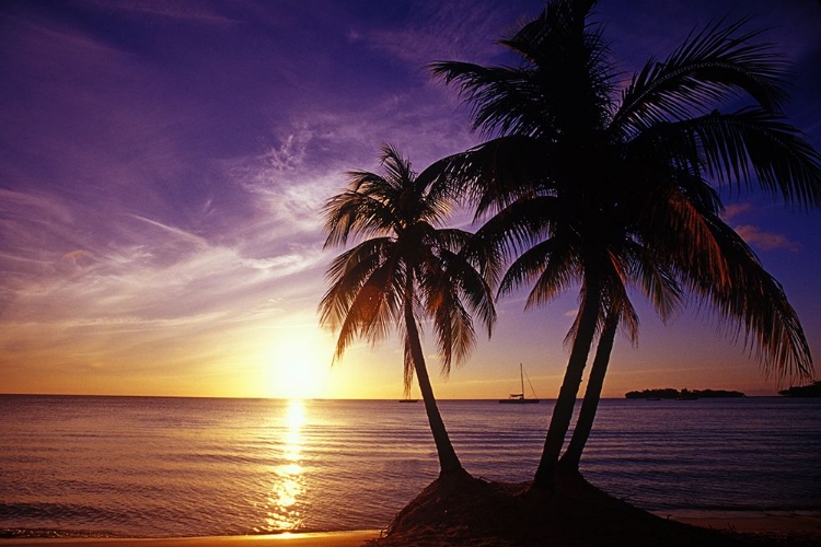Picture of TROPICAL SUNSET