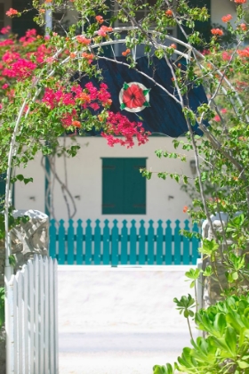 Picture of COLORFUL ARBOR