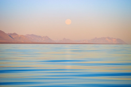 Picture of MOON RISE