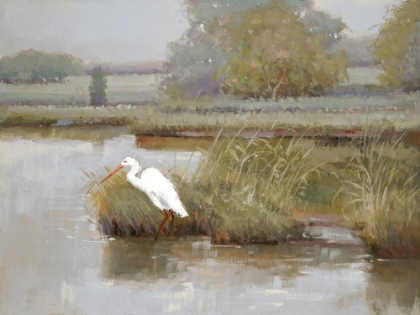 Picture of WHITE HERON
