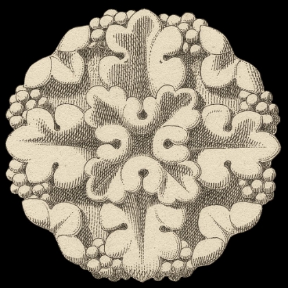 Picture of ARCHITECTURAL ROSETTE I