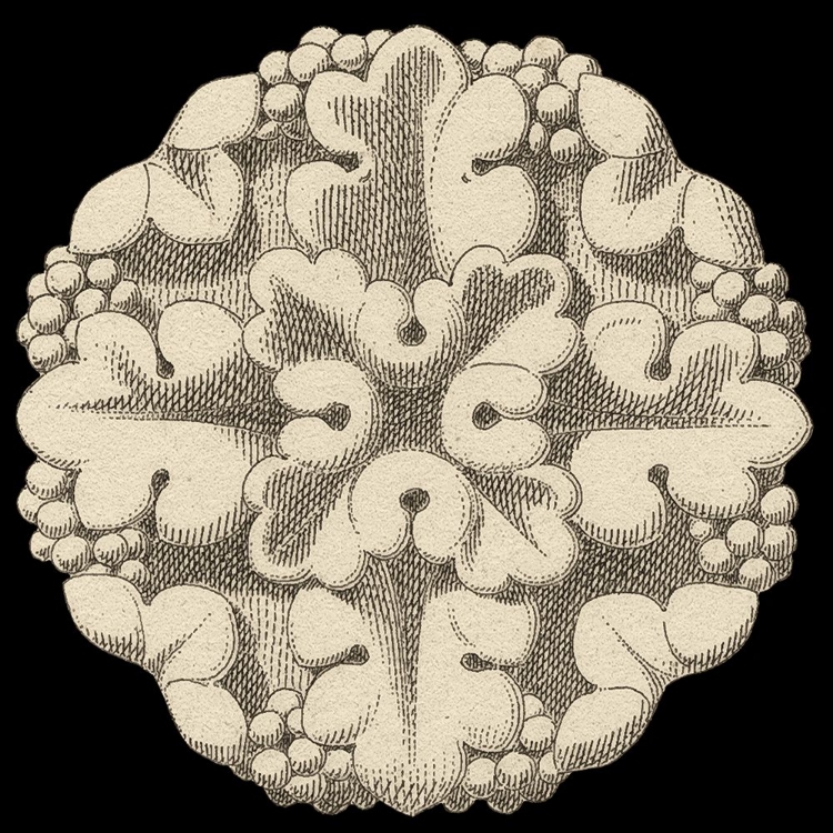 Picture of ARCHITECTURAL ROSETTE I