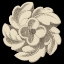 Picture of ARCHITECTURAL ROSETTE IV