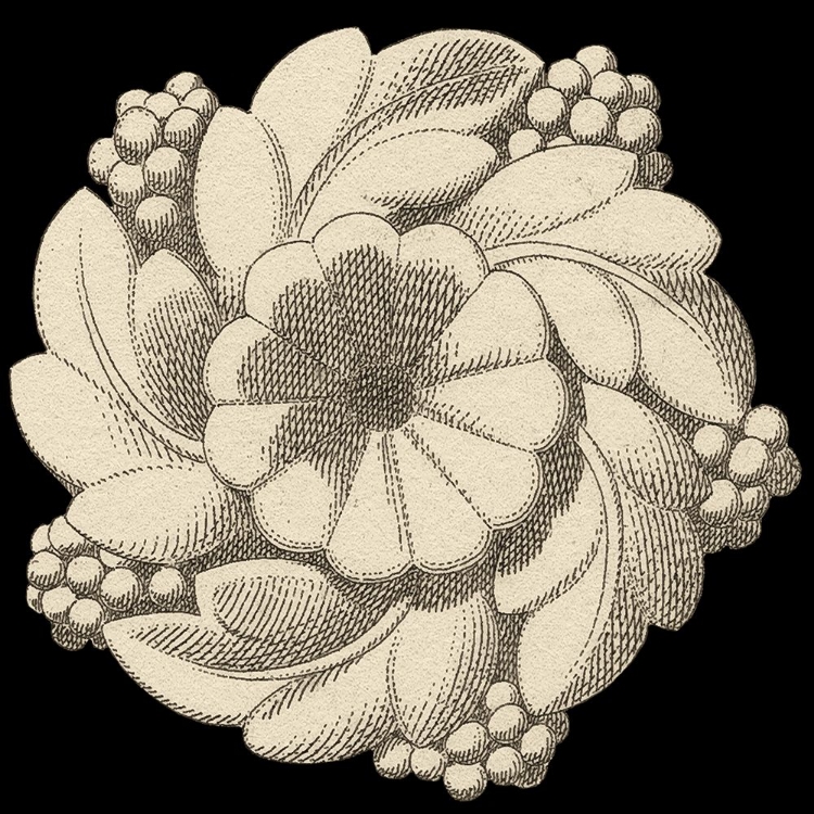Picture of ARCHITECTURAL ROSETTE V