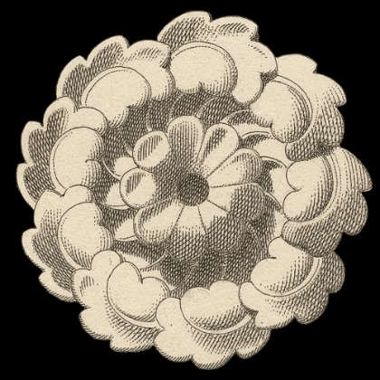 Picture of ARCHITECTURAL ROSETTE VI