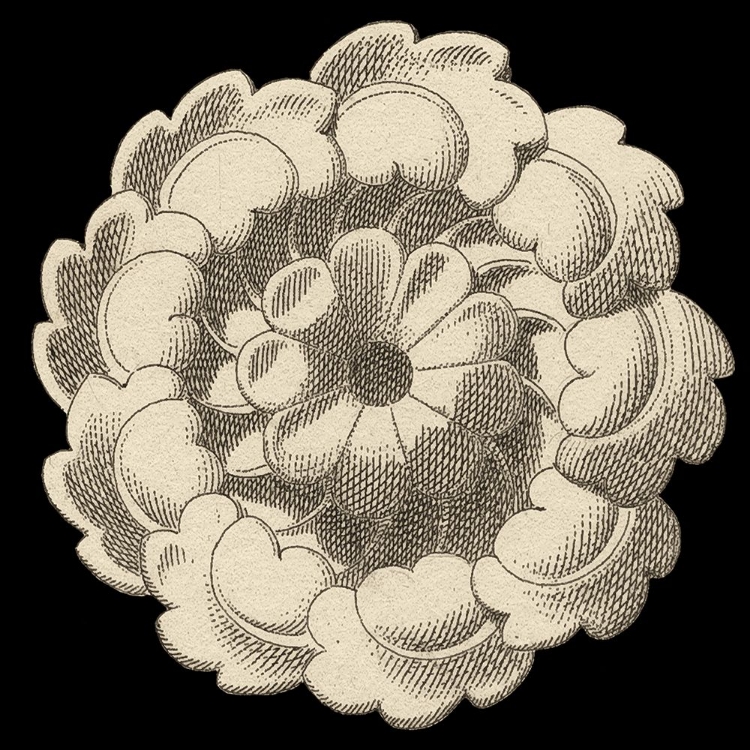 Picture of ARCHITECTURAL ROSETTE VI