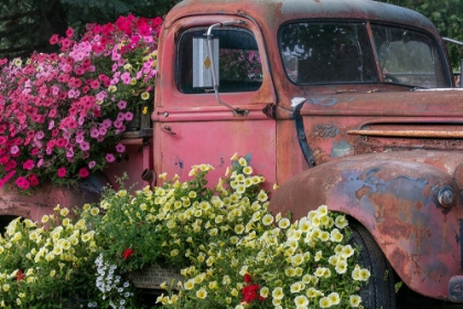 Picture of VINTAGE FLOWER TRUCK