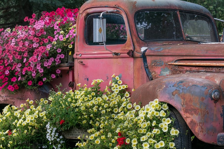 Picture of VINTAGE FLOWER TRUCK