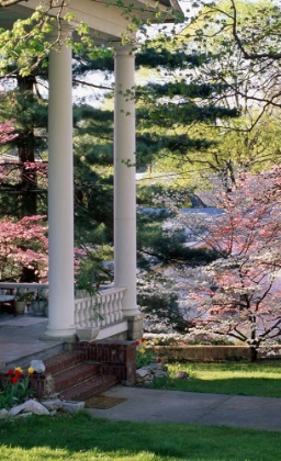 Picture of SOUTHERN SPRING