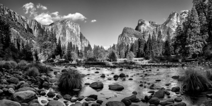 Picture of THE VALLEY FLOOR