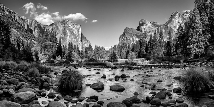Picture of THE VALLEY FLOOR