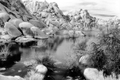 Picture of DESERT WATER II
