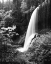 Picture of HIDDEN FALLS