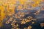 Picture of FLOATING FALL LEAVES