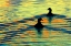 Picture of SUNSET SWIM