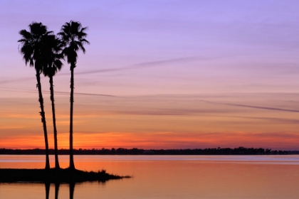 Picture of ISLAND SUNSET