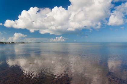Picture of STILL WATERS II
