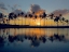 Picture of TROPICAL SILHOUETTE