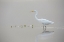 Picture of EGRET II