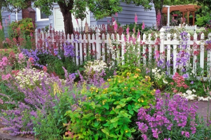 Picture of SIDEWALK SPLENDOR