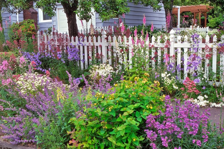 Picture of SIDEWALK SPLENDOR