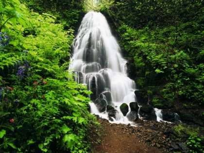Picture of PATH TO THE FALLS