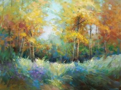 Picture of COLORFUL WOODS