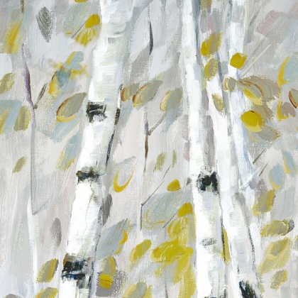 Picture of PATTERNS I
